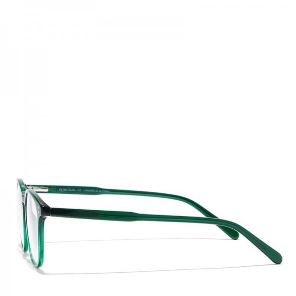 Round Glasses in Acetate